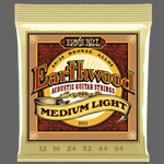 ERNIE BALL Earthwood Medium-Light