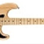 FENDER American Pro Stratocaster®, Maple Fingerboard, Natural