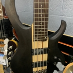 Ibanez BTB605TGF Standard 5-string Bass Guitar