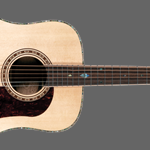 Washburn Heritage Elite
