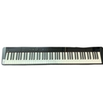 CASIO Casio Privia Px-S1000 Digital Piano (Black)