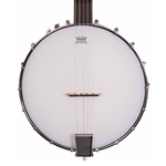 WASHBURN B7 5-String Open Back Banjo