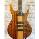 Carvin Vintage 12- String Electric Gtr.