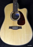 SEAGULL Performer CW