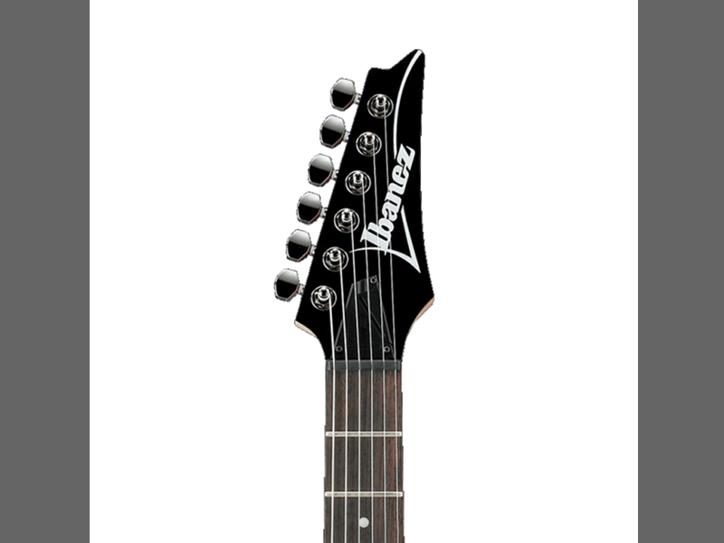 Jim's Music - RG Fixed Series Electric Guitar Blackberry Sunburst