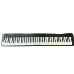 CASIO Casio Privia Px-S1000 Digital Piano (Black)