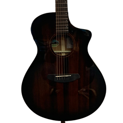 Breedlove Wildwood Pro Concert Suede CE