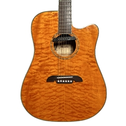 ALVAREZ Used Alvarez Acoustic Electric Guitar with case